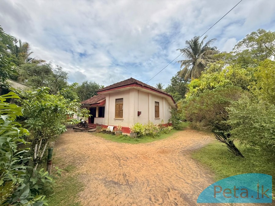 House For Sale