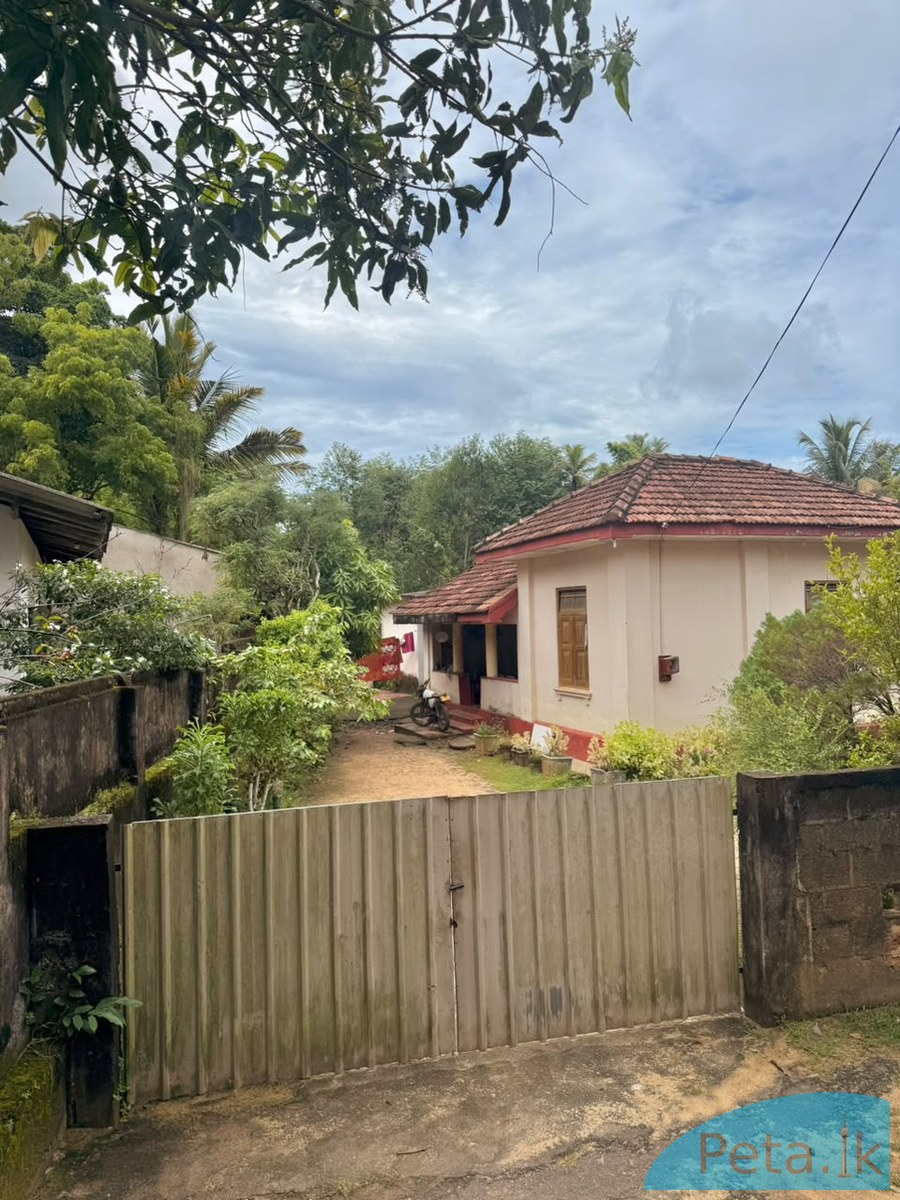 House For Sale