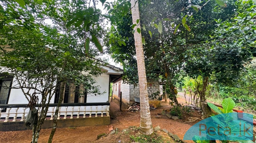House For Sale 