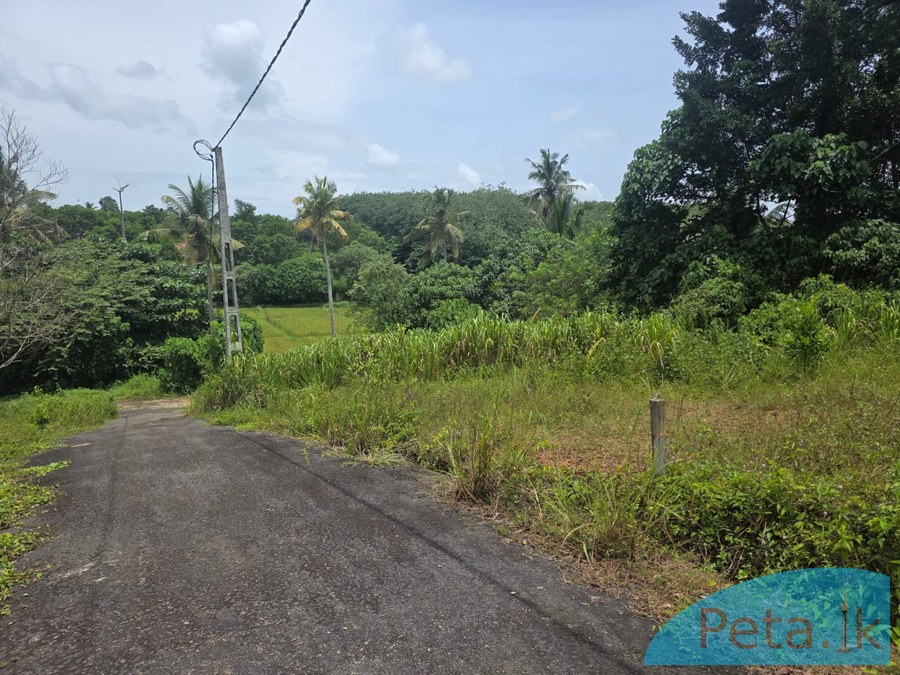 Land For Sale
