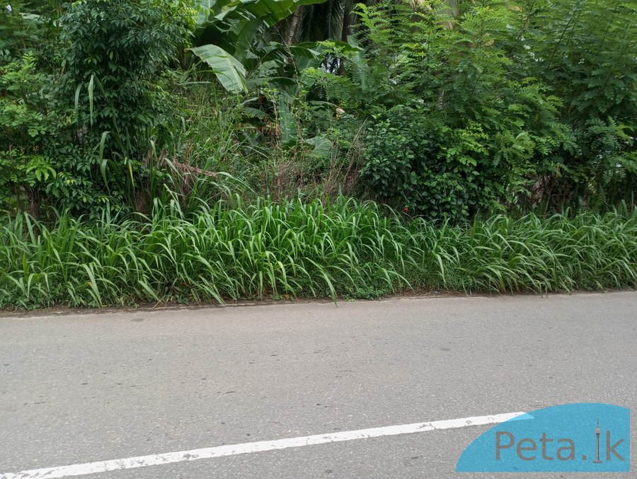Land For Sale in Kiridiwela