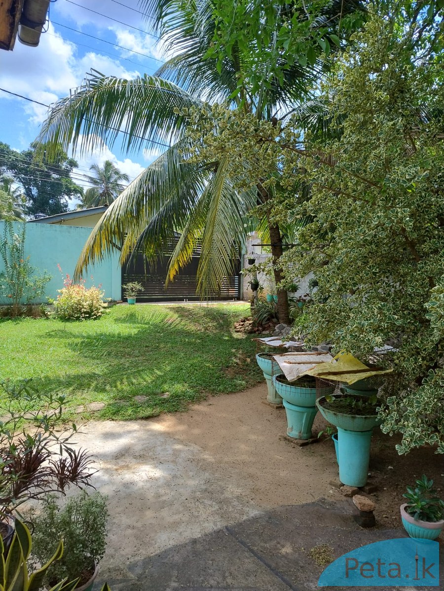 House For Sale In Kadawatha 