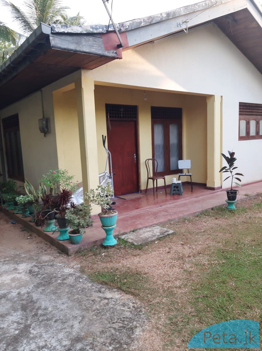 House For Sale In Kadawatha 