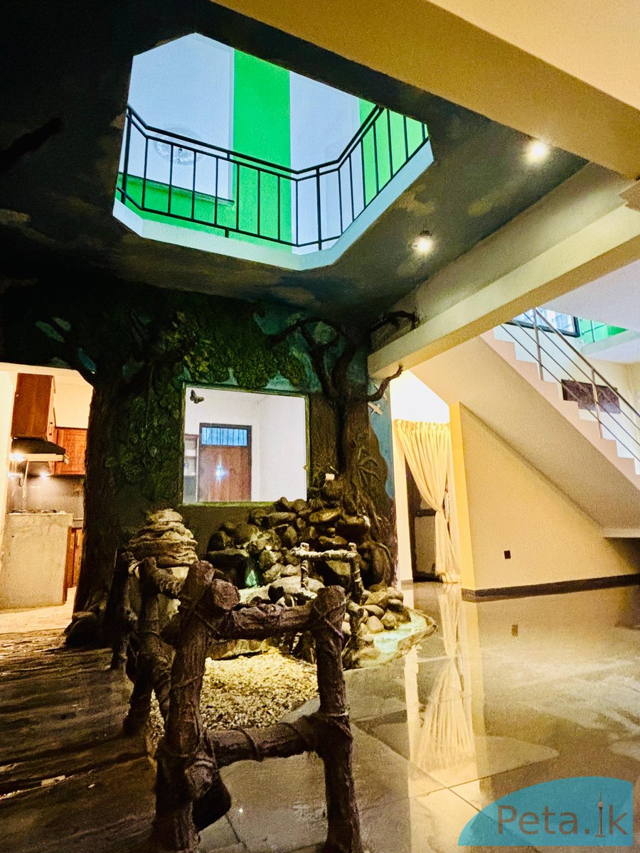 House For Rent In Thalawathugoda 