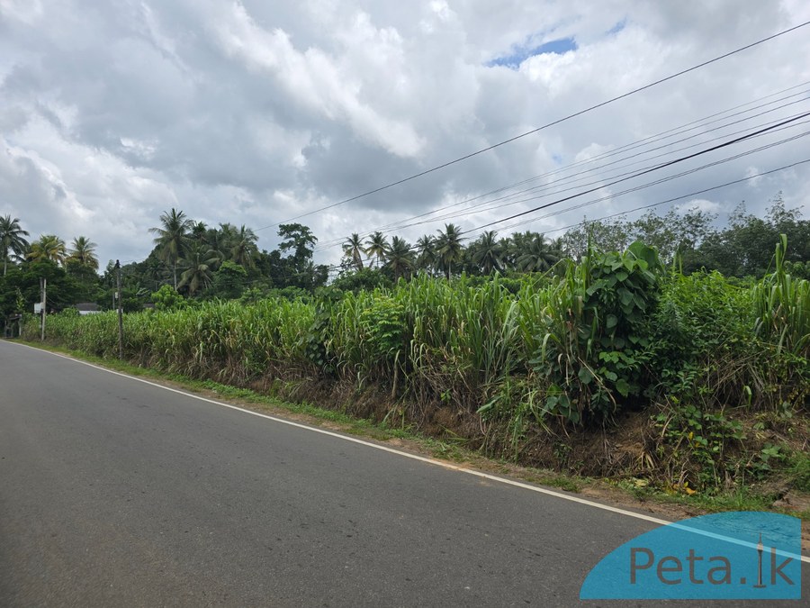 Land For Sale  In Handapaangoda