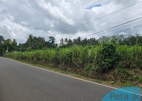 Land For Sale  In Handapaangoda