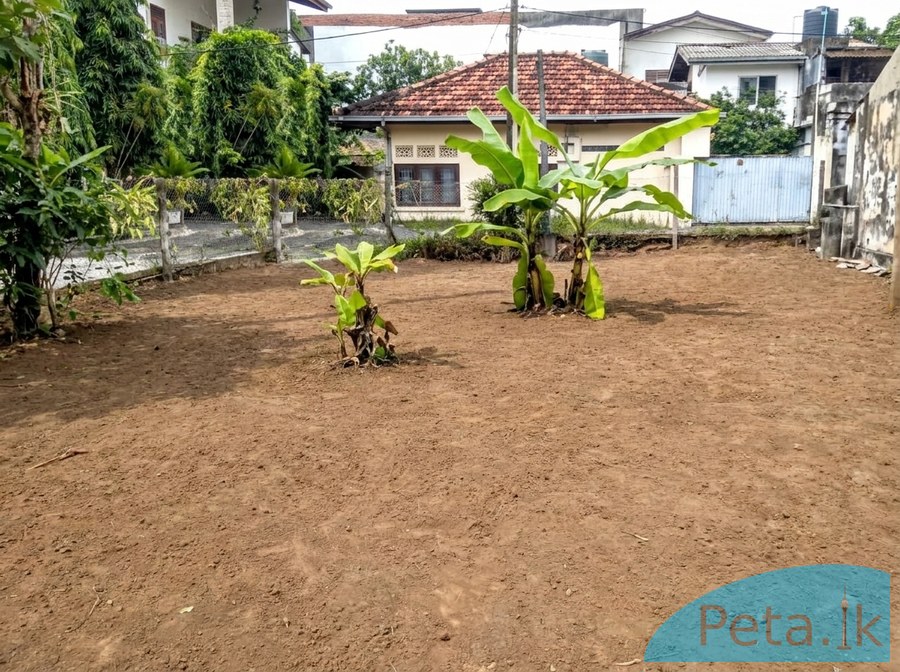 Land For Sale In Mount Lavinia