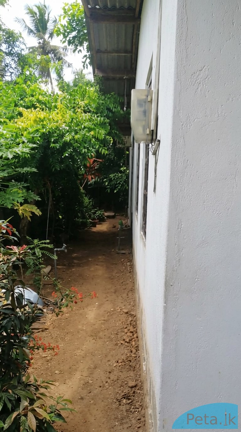 House For Sale In Boralla 