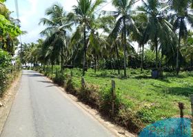Land sale / Makubura 