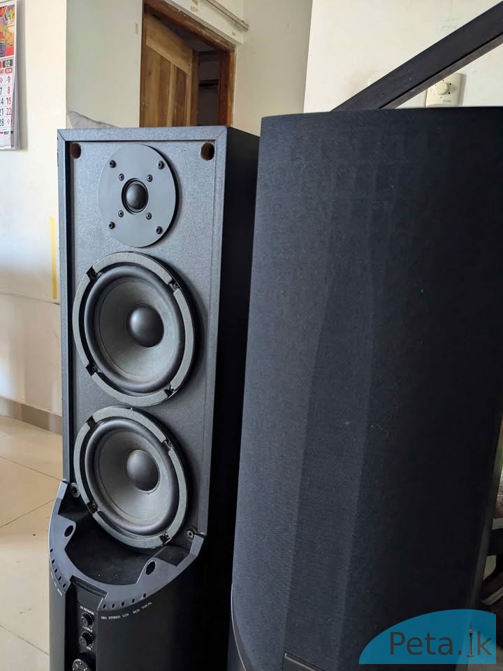 Floor  Standing Speaker
