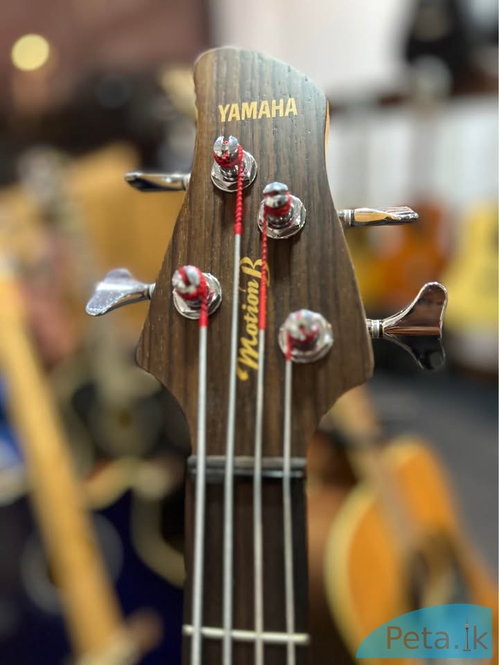 Bass Guitar