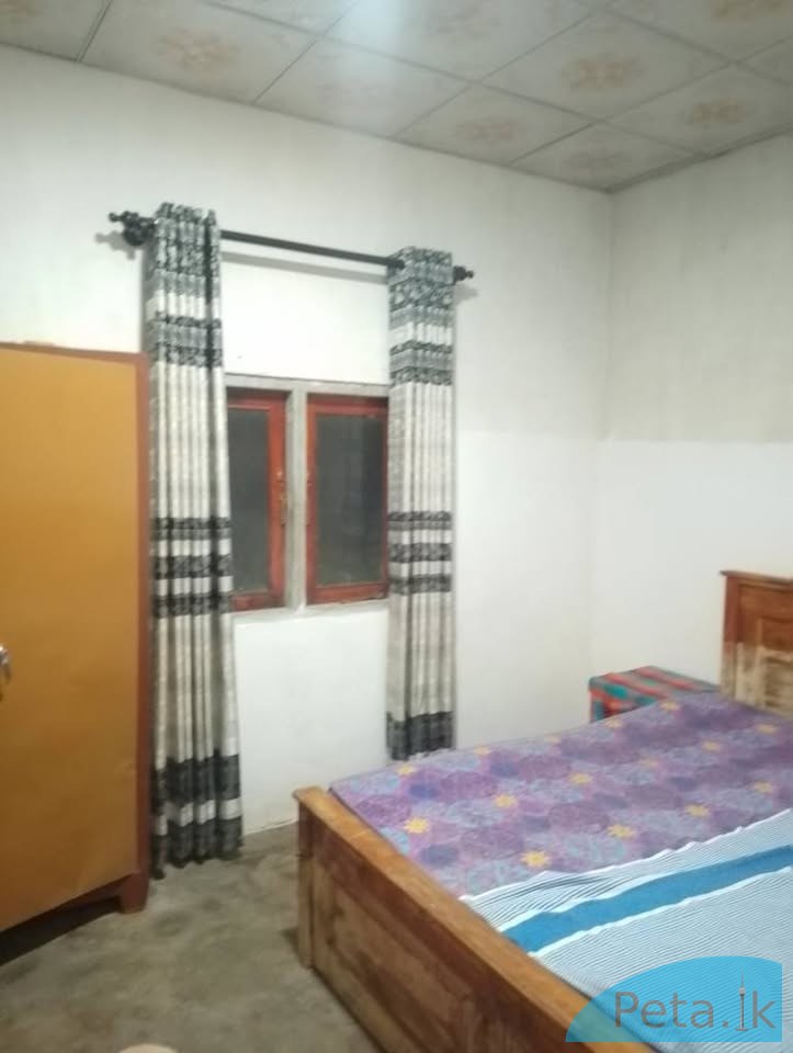 House for rent