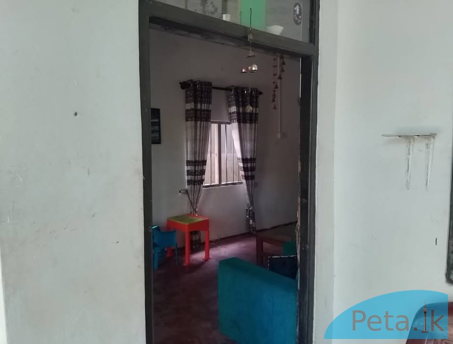 House for rent