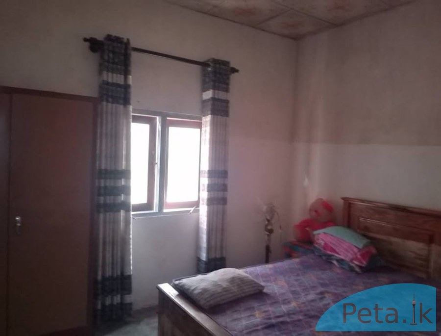 House for rent