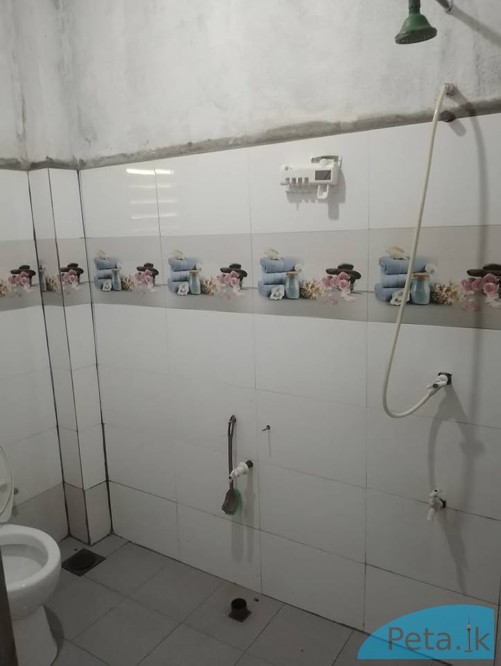 House for rent