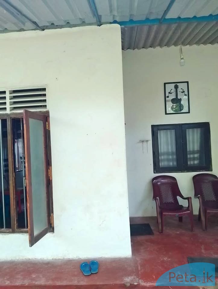 House for rent