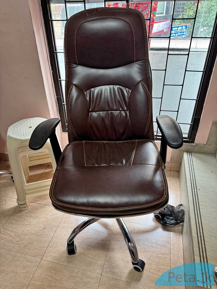 Leather Chair