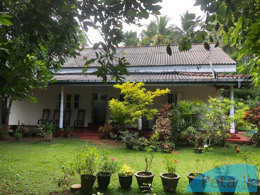House for sale