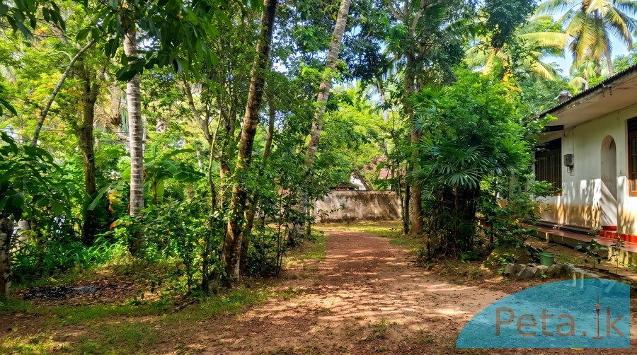 House for sale