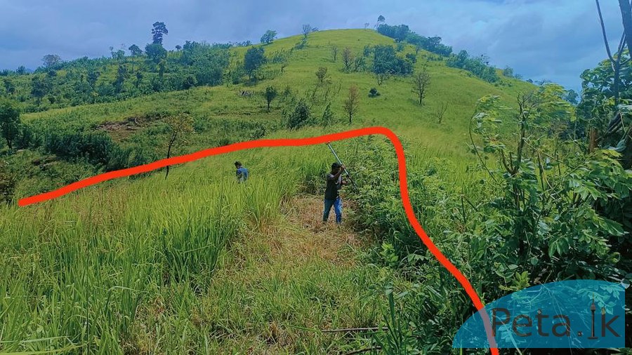 LAND FOR SALE