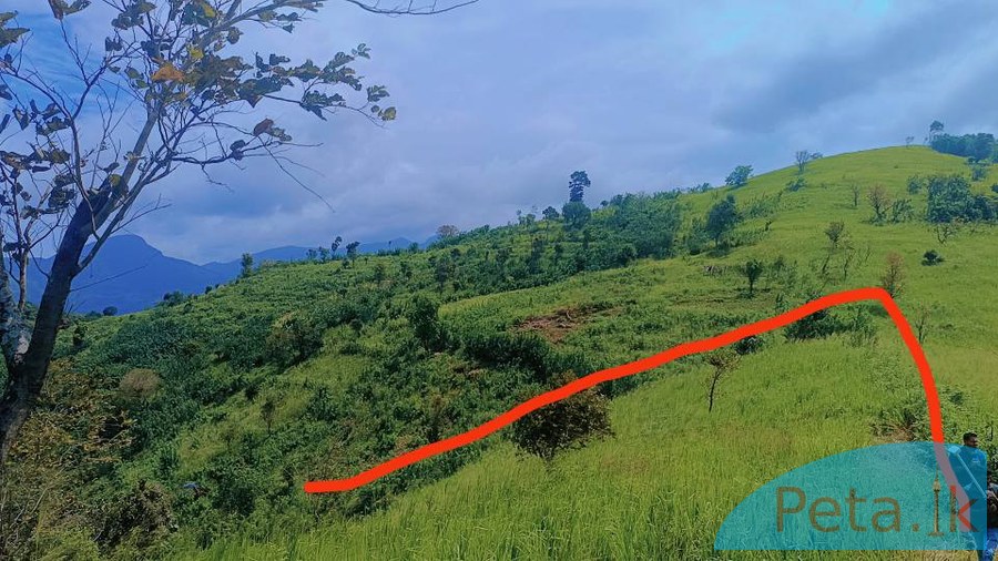 LAND FOR SALE