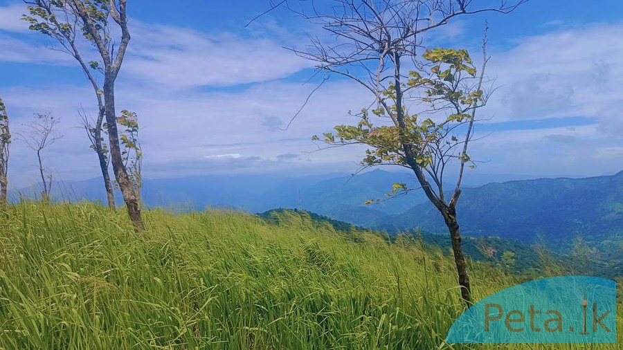 LAND FOR SALE