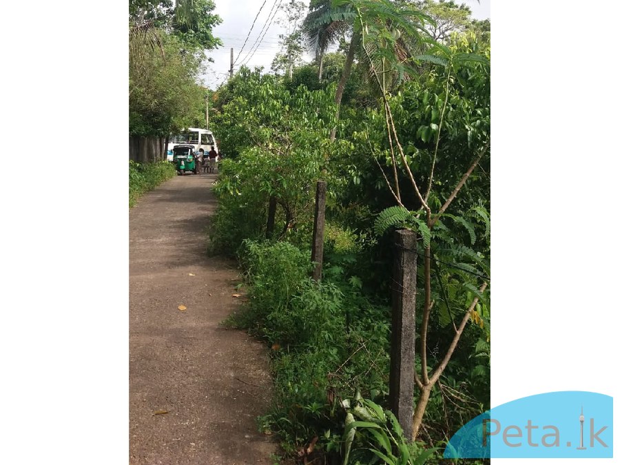 Land for sale
