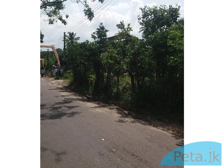 Land for sale